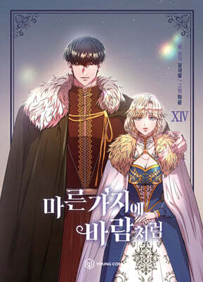 만화 마른 가지에 바람처럼 14