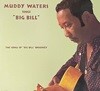 [LP]?머디?워터스?-?Muddy?Waters?-?Muddy?Waters?Sings?Big?Bill?LP?[독일반]