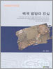 백제 멸망의 진실