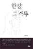 한강 격류 (양장)