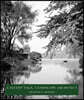Calvert Vaux, Landscape Architect: Landscape Architect