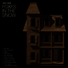 Jason Isbell - Foxes In The Snow (LP)