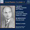 미샤 레비츠키 - 컴플리트 레코딩 3집 (Mischa Levitzki - Complete Recordings Vol. 3)