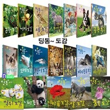 아이의 눈높이에 맞춘 딩동 도감 19권 세트/고양이도감.해안동물과물고기도감.고래.말.상어.개도감.공룡.바닷물고기.곤충.동물원.바다동물,풀꽃.펭귄.나라동물 외