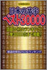 日本の苗字ベスト30000