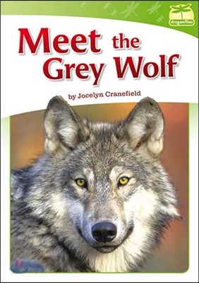 Lm Dragonflies:Meet The Gray Wolf 