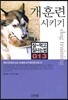 개훈련 시키기