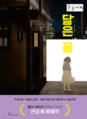 닮은 꼴 (큰글자책)