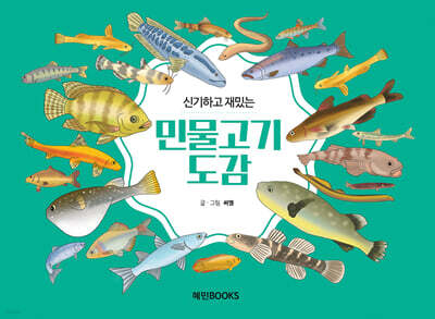신기하고 재밌는 민물고기도감 (큰글자책)