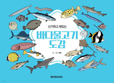 신기하고 재밌는 바다물고기도감 (큰글자책)