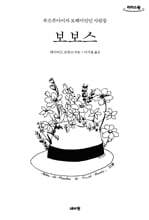 보보스 (큰글자도서)