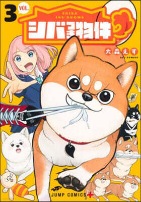 シバつき物件 3