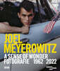 Joel Meyerowitz: A Sense of Wonder (Bilingual edition)