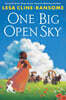 One Big Open Sky : 2025 뉴베리 아너