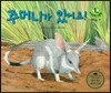 키즈 자연과학 그림책 41 주머니가 있어요!