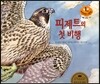 키즈 자연과학 그림책 52 피제트의 첫 비행