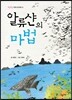 알류샨의 마법