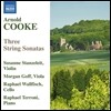 Susanne Stanzeleit 아놀드 쿡: 현악 소나타 - 바이올린 소나타, 비올라 소나타, 첼로 소나타 (Arnold Cooke: Three String Sonatas)