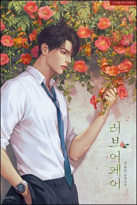 러브 어페어 3권