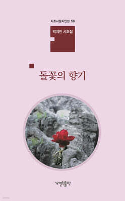 돌꽃의 향기