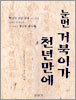 눈먼 거북이가 천년만에
