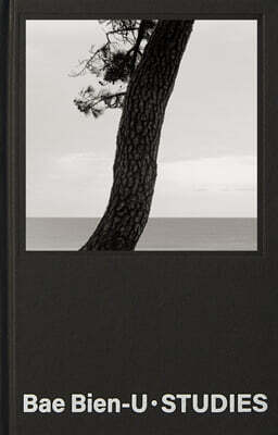 Bae Bien-U · STUDIES