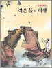 작은 돌의 여행
