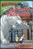 Ballpark Mysteries #11: The Tiger Troubles