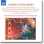 A Night at the Opera