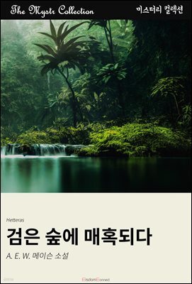 검은 숲에 매혹되다