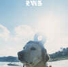 Radwimps (래드윔프스) - RADWIMPS 3 - Mujintou Ni Motteikiwasureta Ichimai [2LP]