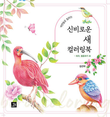 신비로운 새 컬러링북