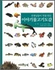 이야기 물고기 도감