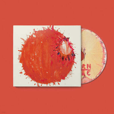 쏜애플 (THORNAPPLE) - 1집 : 난 자꾸 말을 더듬고 잠드는 법도 잊었네