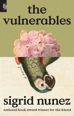 The Vulnerables