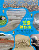댕글댕글~ 갯벌 한 바퀴
