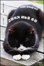 고양이가 재능을 숨김