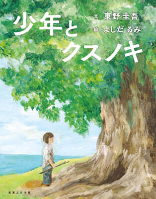 少年とクスノキ
