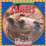 Camels
