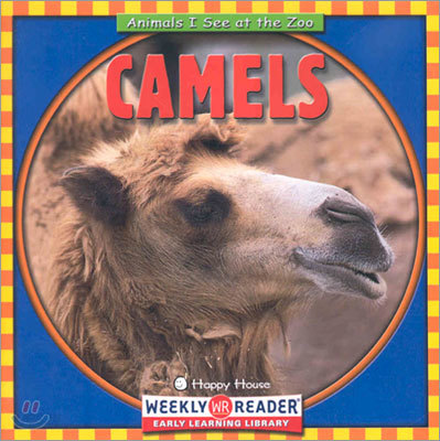 Camels