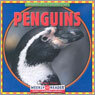 Penguins