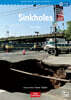Survivors’ Smarts Readers Level 3 : Sinkholes