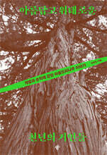 아름답고 위태로운 천년의 거인들