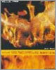 SEX MACHINEGUNS 「Burning Hammer」