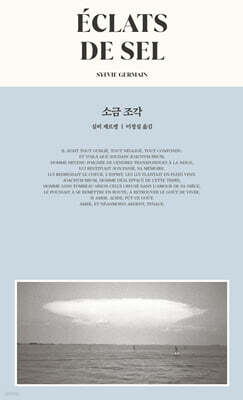 소금 조각