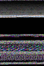 나는 대한독립을 위해 싸우는 외국인입니다