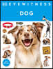 Eyewitness Dog