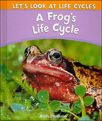 A Frog&#39;s Life Cycle