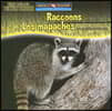 Raccoons Are Night Animals / Los Mapaches Son Animales Nocturnos