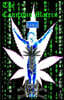 The Cannabis Matrix (the Seshat Appendix): A Trilogy of Selected Essays of Ioannes, the Composer